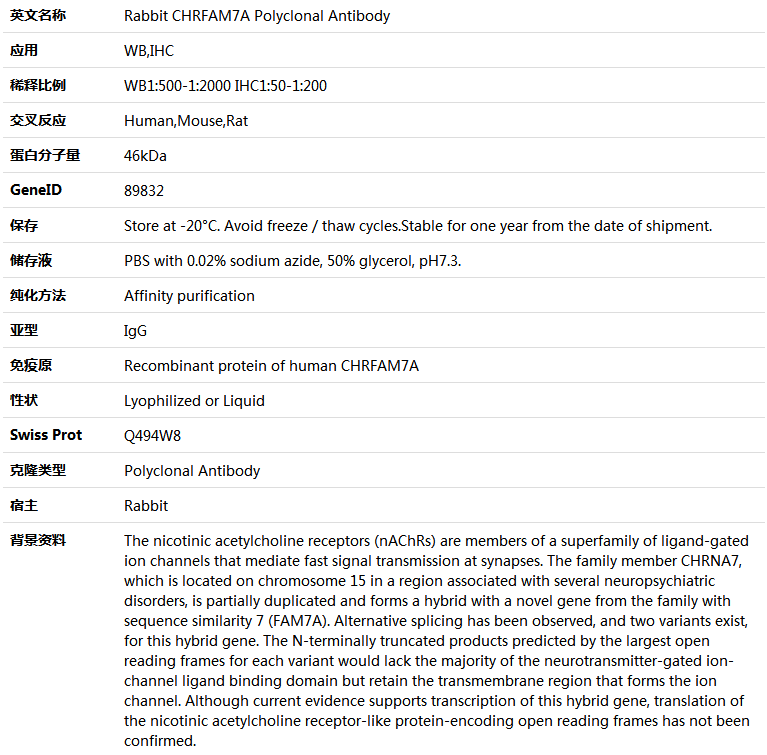 CHRFAM7A Antibody,索莱宝,K005499P-50ul