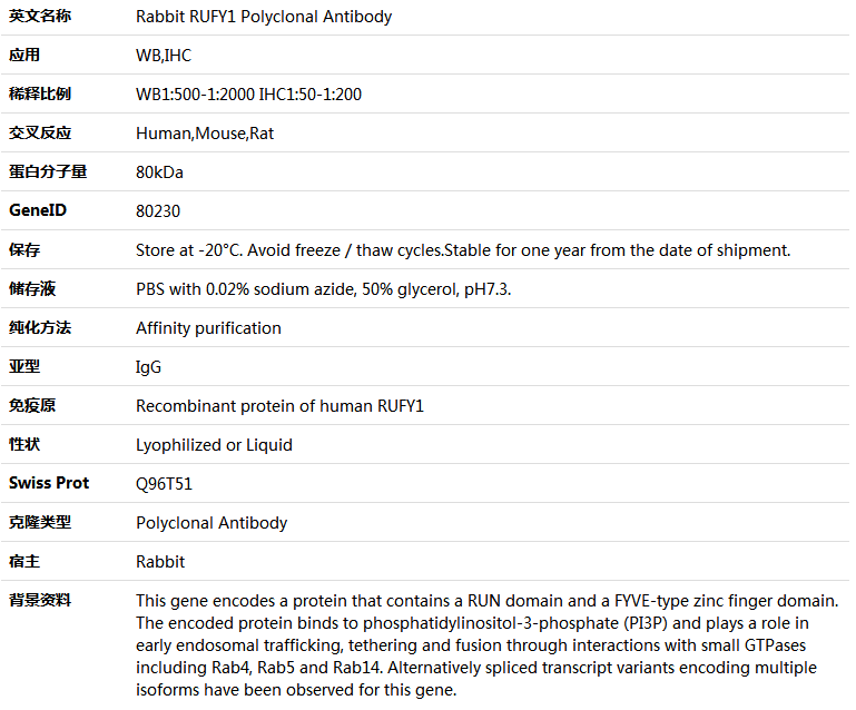 RUFY1 Antibody,索莱宝,K005496P-50ul