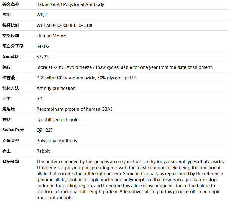 GBA3 Antibody,索莱宝,K005490P-100ul