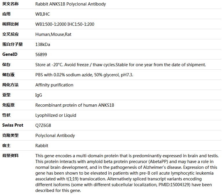 ANKS1B Antibody,索莱宝,K005484P-100ul