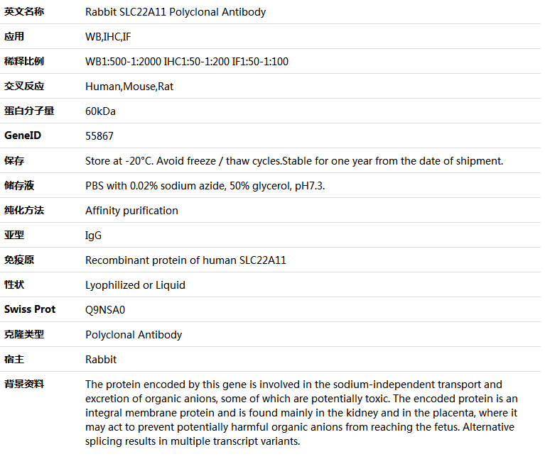SLC22A11 Antibody,索莱宝,K005482P-100ul