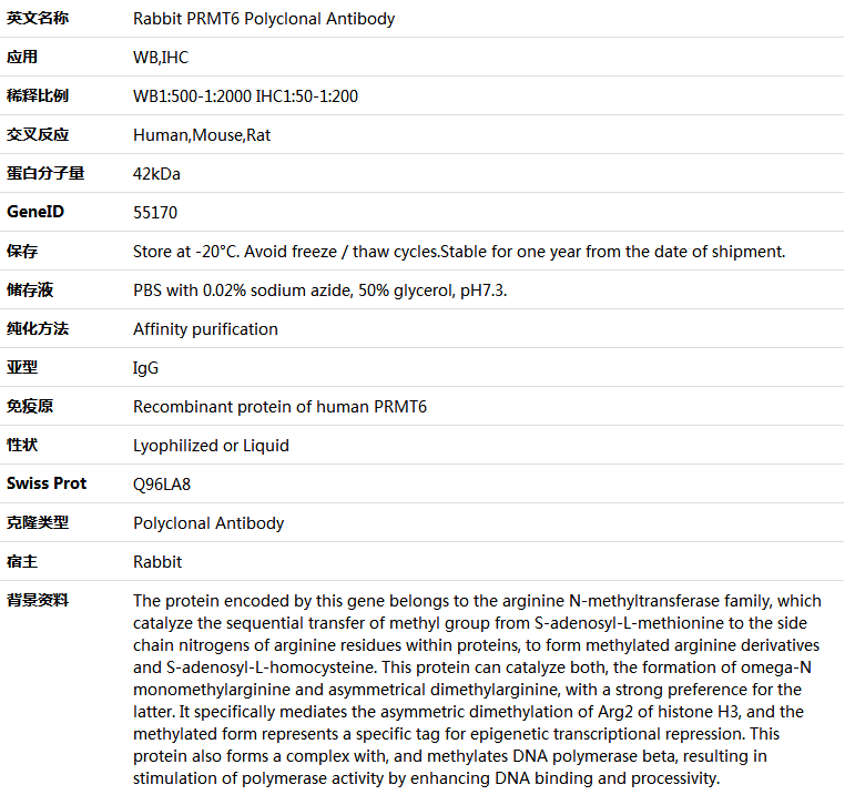 PRMT6 Antibody,索莱宝,K005481P-100ul