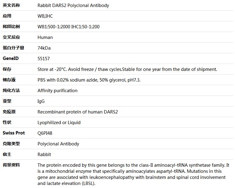 DARS2 Antibody,索莱宝,K005480P-100ul