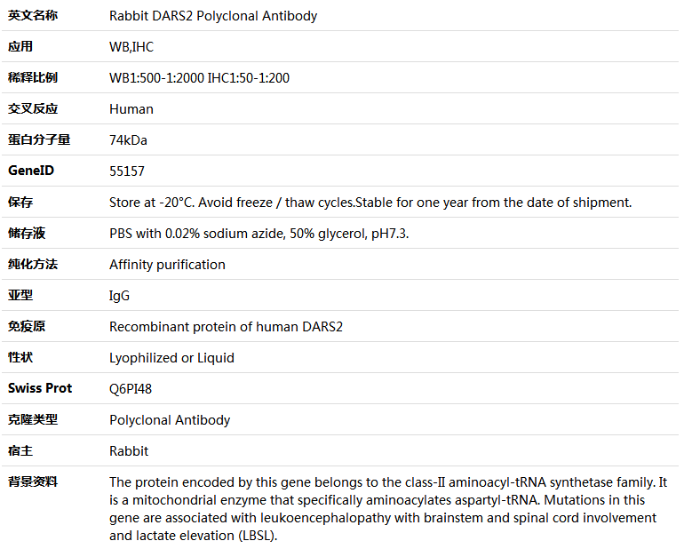 DARS2 Antibody,索莱宝,K005480P-50ul