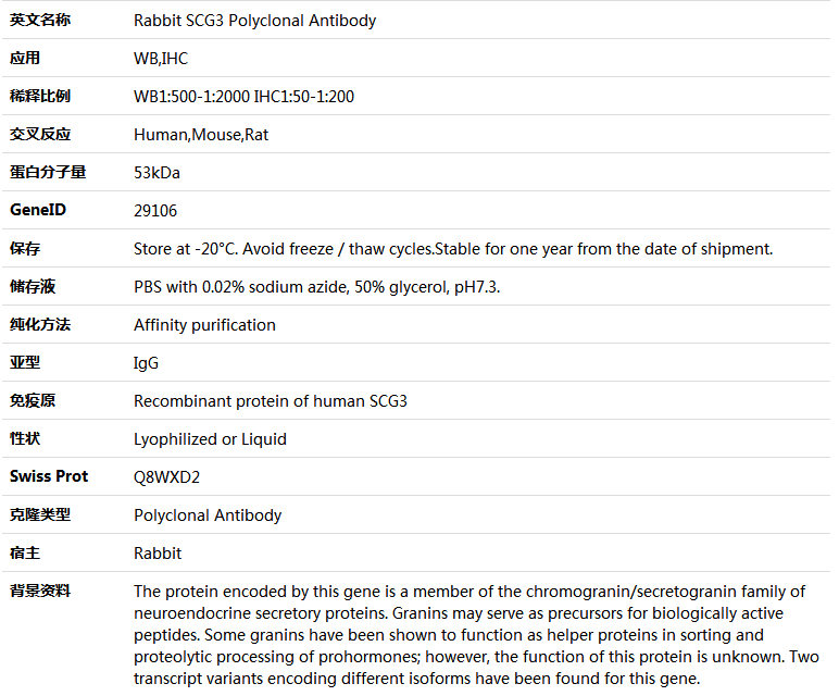 SCG3 Antibody,索莱宝,K005472P-50ul
