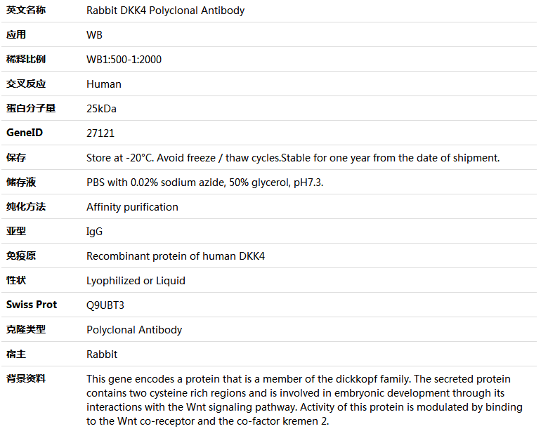 DKK4 Antibody,索莱宝,K005470P-100ul