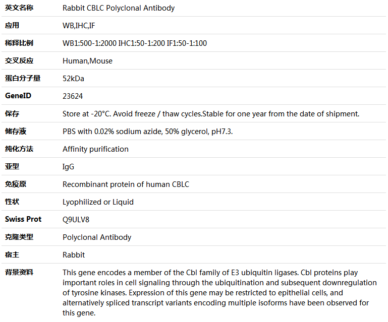 CBLC Antibody,索莱宝,K005465P-100ul