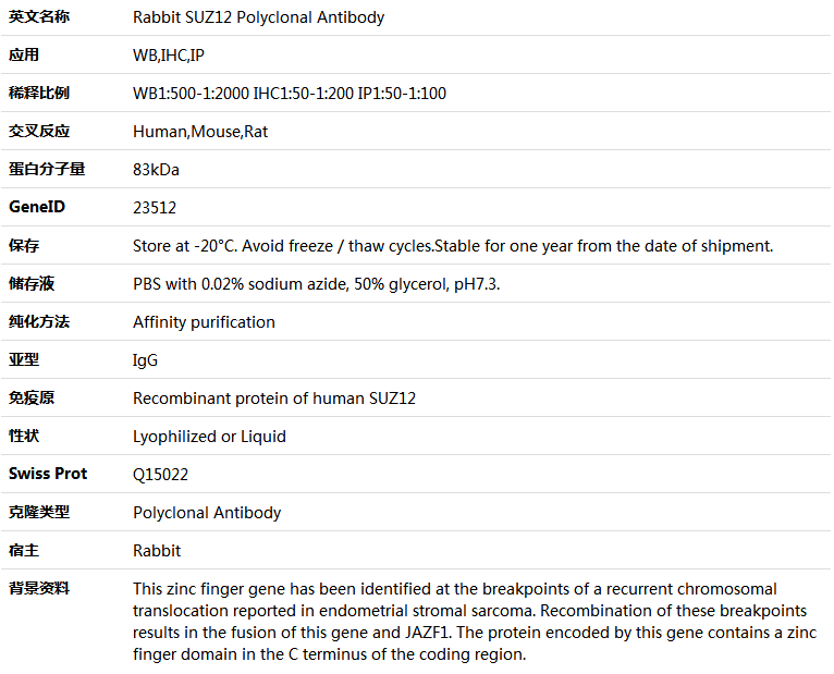 SUZ12 Antibody,索莱宝,K005463P-30ul