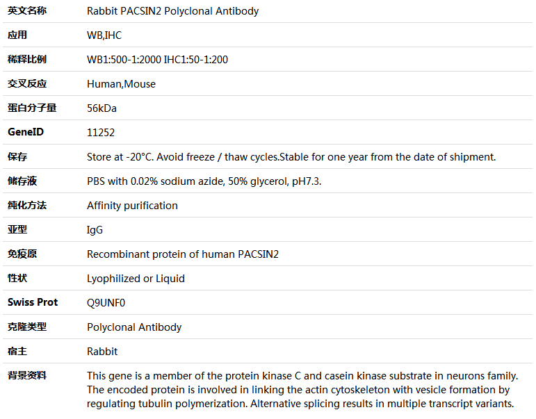 PACSIN2 Antibody,索莱宝,K005459P-100ul
