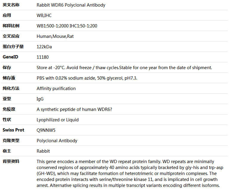 WDR6 Antibody,索莱宝,K005458P-50ul