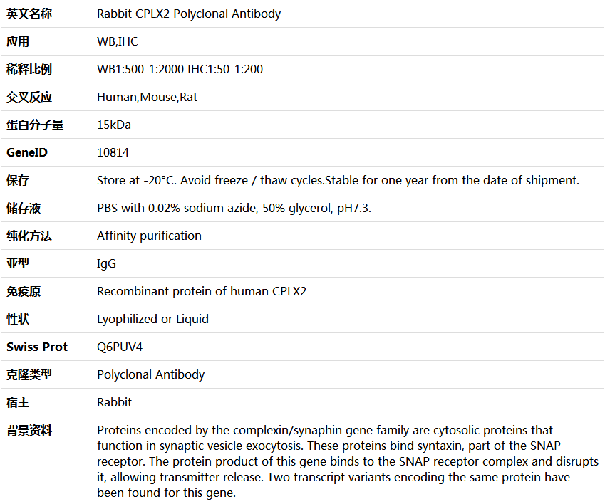 CPLX2 Antibody,索莱宝,K005453P-100ul