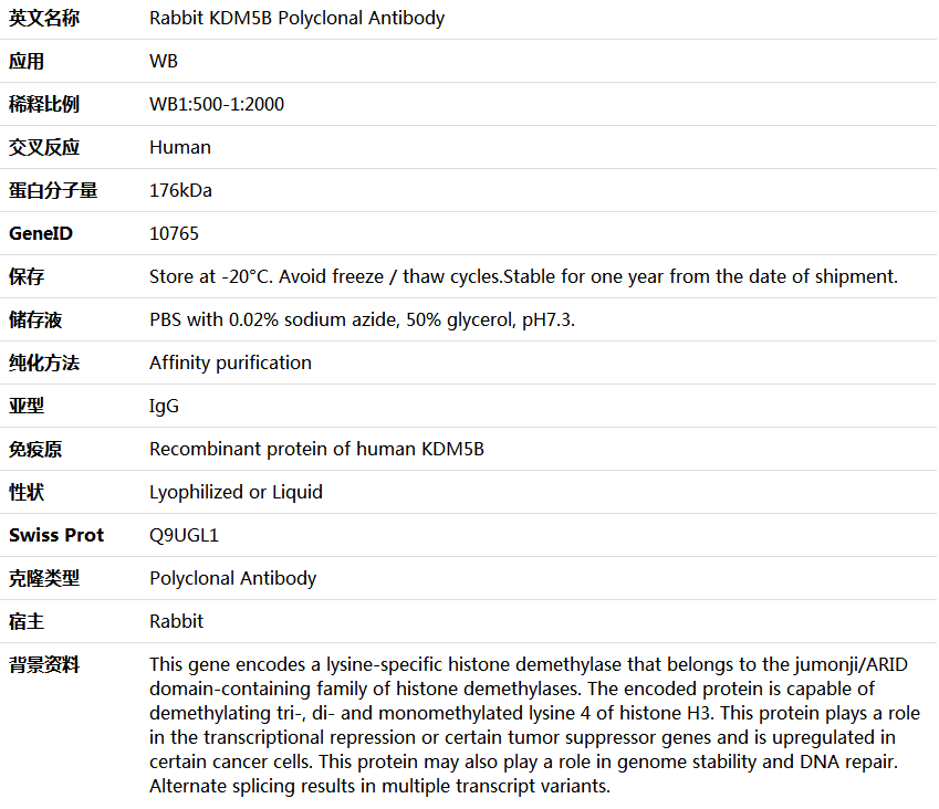 KDM5B Antibody,索莱宝,K005452P-50ul