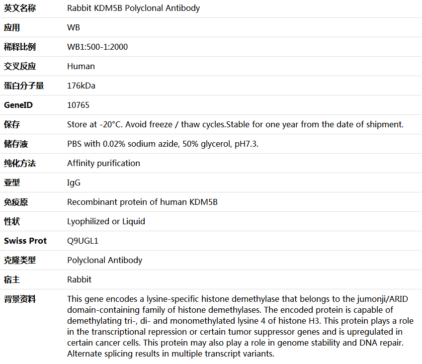 KDM5B Antibody,索莱宝,K005452P-30ul