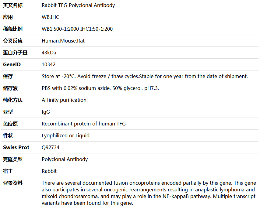 TFG Antibody,索莱宝,K005451P-50ul