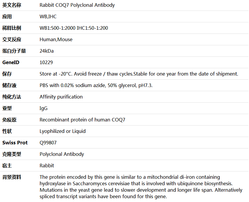 COQ7 Antibody,索莱宝,K005450P-100ul