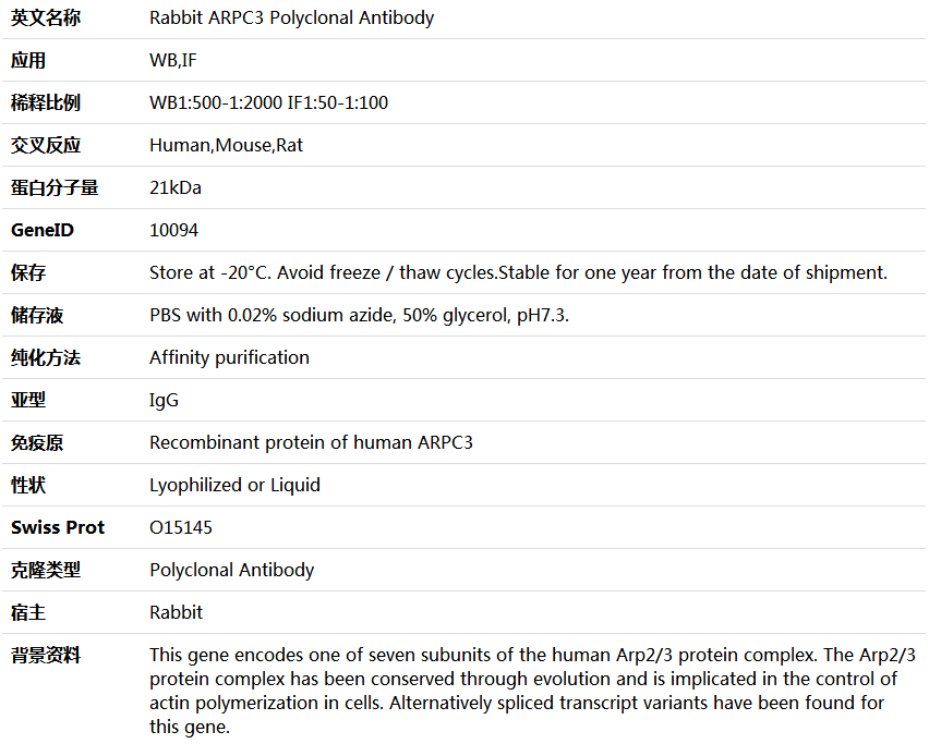 ARPC3 Antibody,索莱宝,K005449P-50ul