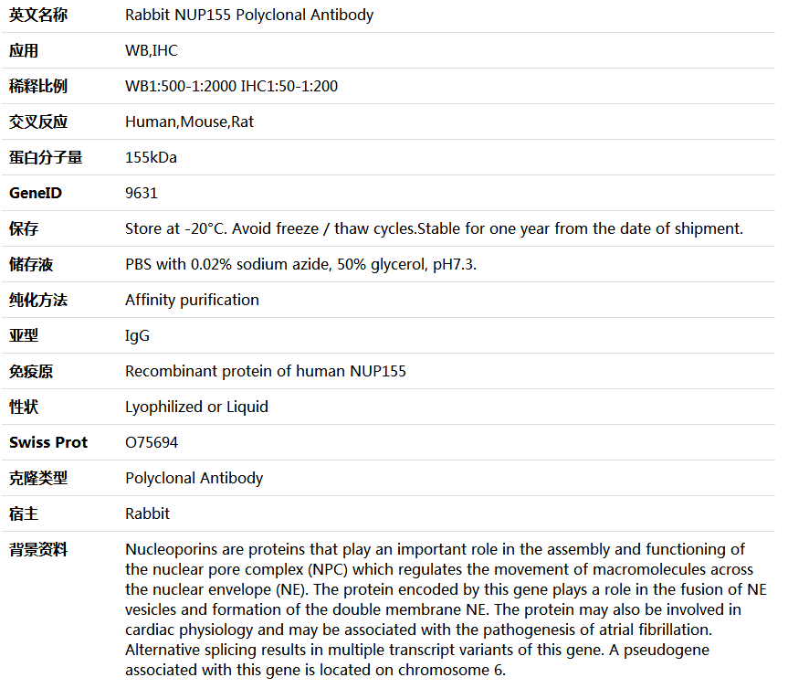 NUP155 Antibody,索莱宝,K005447P-50ul