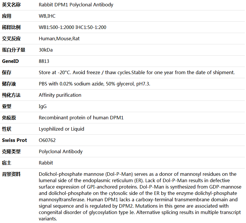 DPM1 Antibody,索莱宝,K005443P-100ul
