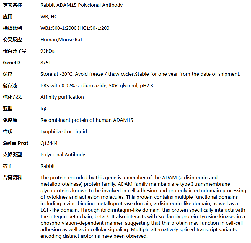 ADAM15 Antibody,索莱宝,K005442P-100ul