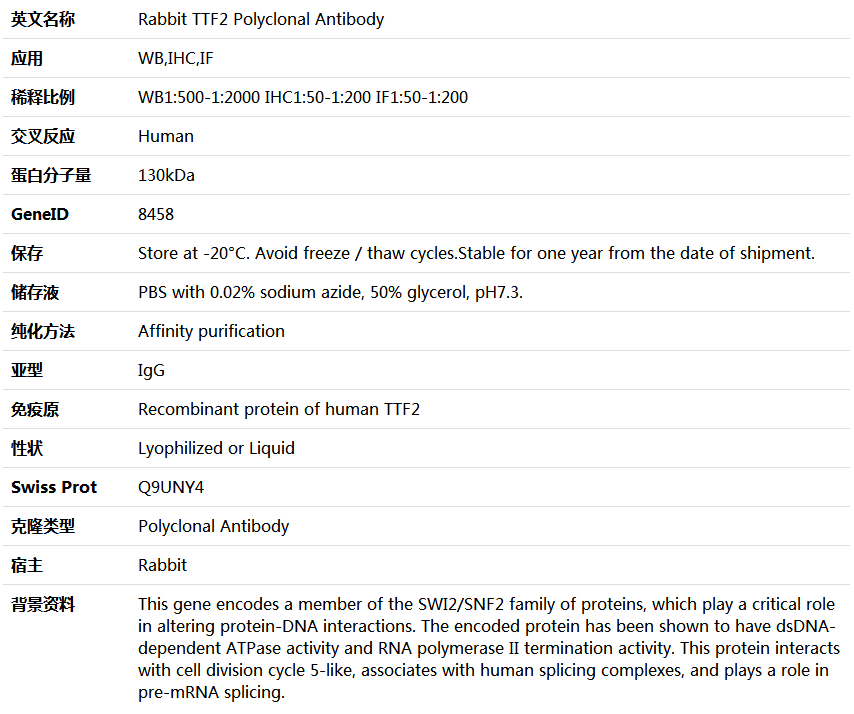 TTF2 Antibody,索莱宝,K005440P-50ul