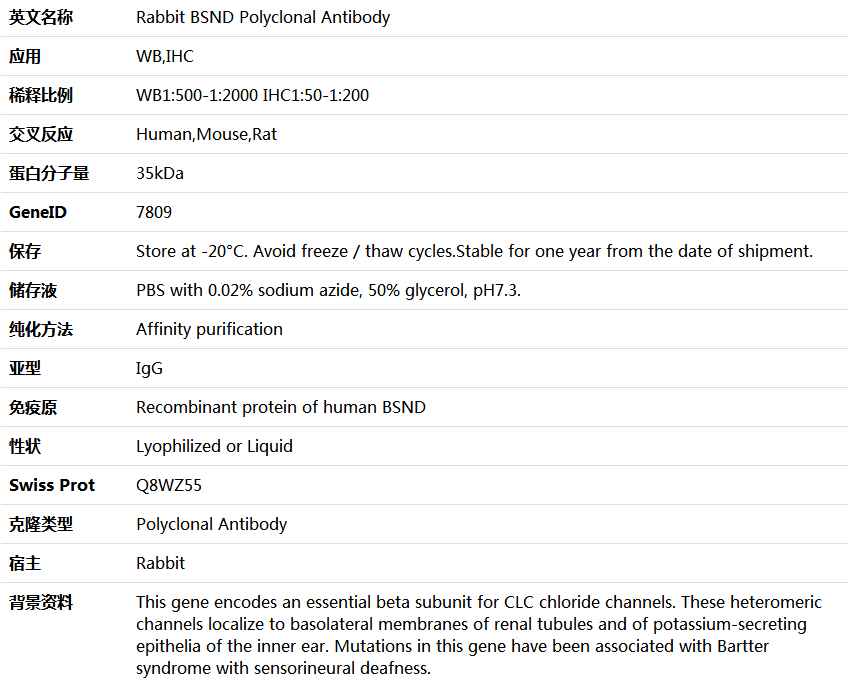 BSND Antibody,索莱宝,K005437P-50ul