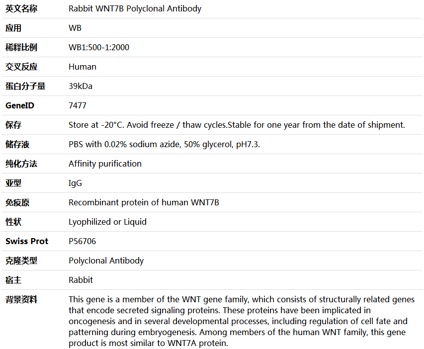 WNT7B Antibody,索莱宝,K005436P-100ul