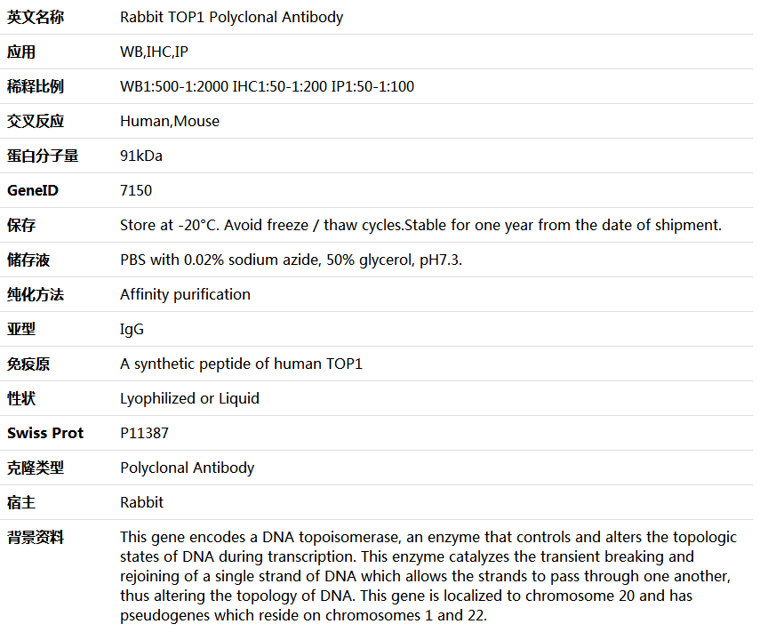 TOP1 Antibody,索莱宝,K005431P-50ul