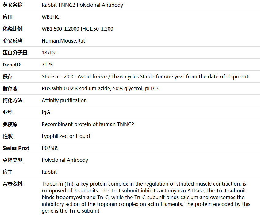 TNNC2 Antibody,索莱宝,K005430P-50ul