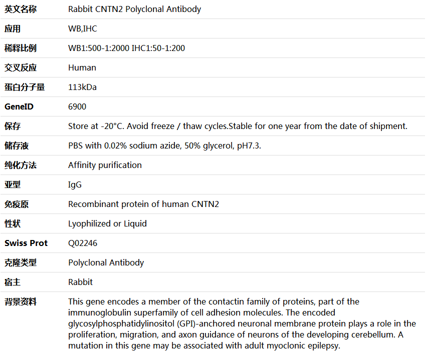 CNTN2 Antibody,索莱宝,K005428P-50ul