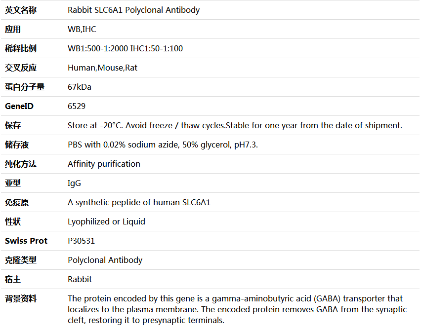 SLC6A1 Antibody,索莱宝,K005422P-100ul