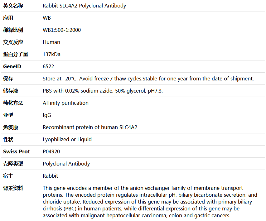 SLC4A2 Antibody,索莱宝,K005421P-100ul