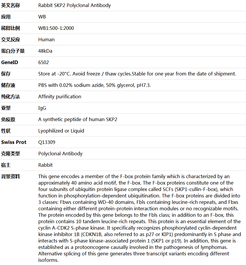 SKP2 Antibody,索莱宝,K005420P-100ul