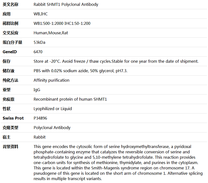 SHMT1 Antibody,索莱宝,K005419P-30ul