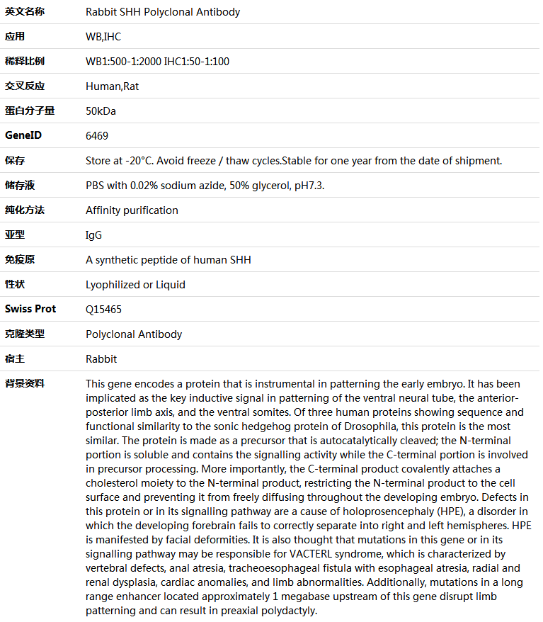 SHH Antibody,索莱宝,K005418P-30ul