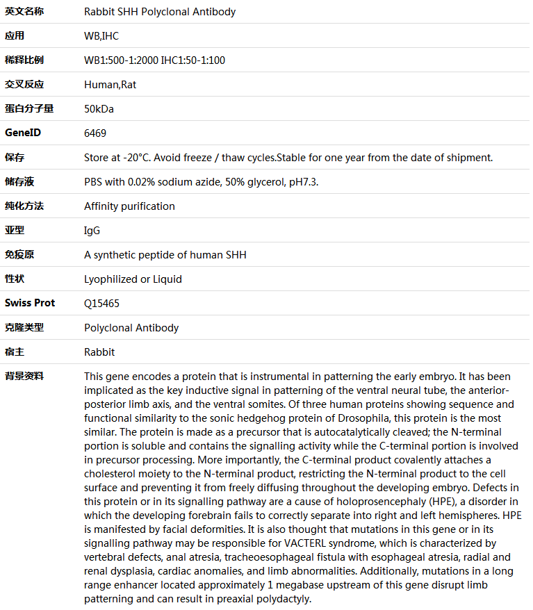 SHH Antibody,索莱宝,K005418P-50ul