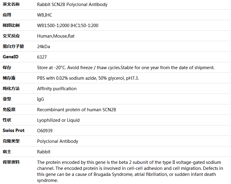 SCN2B Antibody,索莱宝,K005415P-100ul