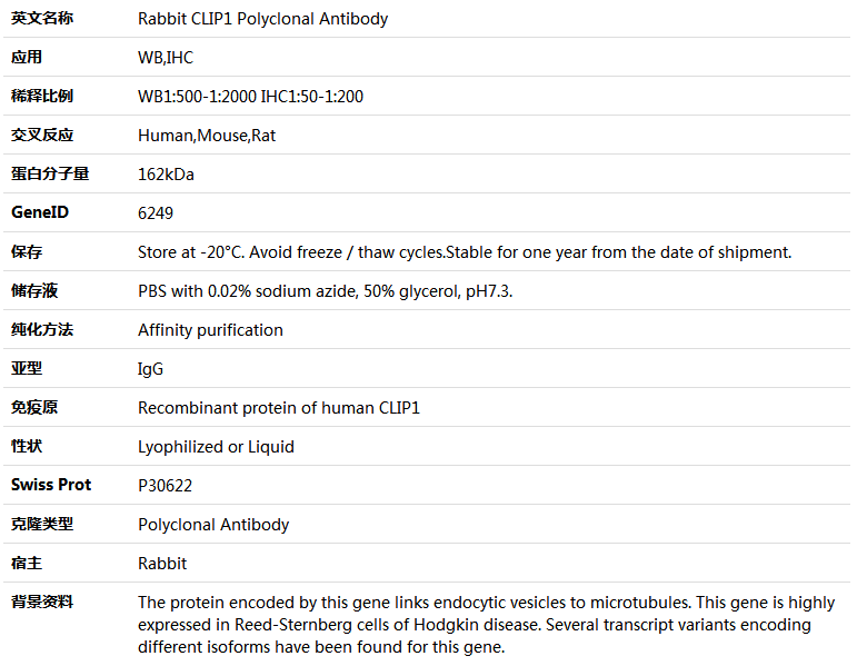 CLIP1 Antibody,索莱宝,05414P-100ul