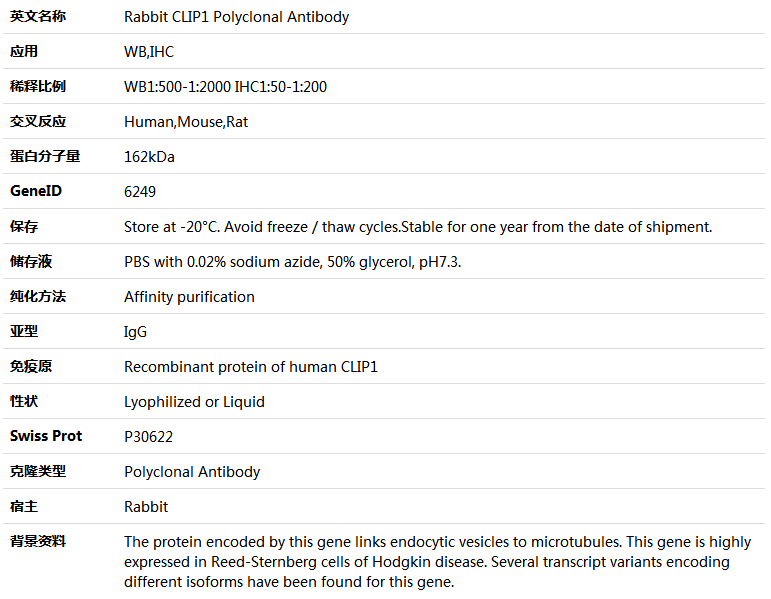 CLIP1 Antibody,索莱宝,K005414P-50ul