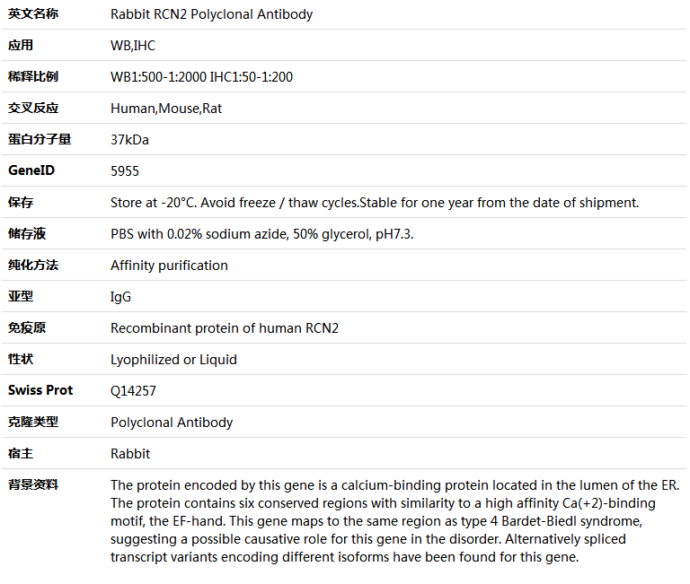 RCN2 Antibody,索莱宝,K005413P-50ul