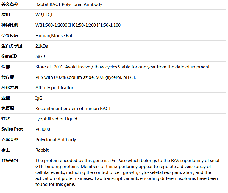 RAC1 Antibody,索莱宝,K005412P-30ul