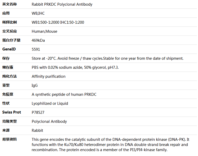 PRKDC Antibody,索莱宝,K005409P-100ul