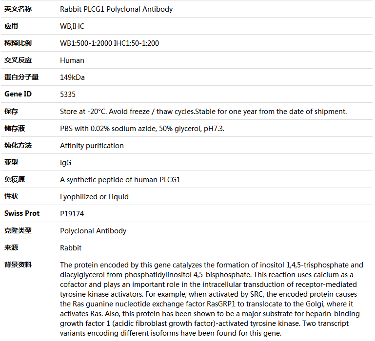 PLCG1 Antibody,索莱宝,K005405P-30ul