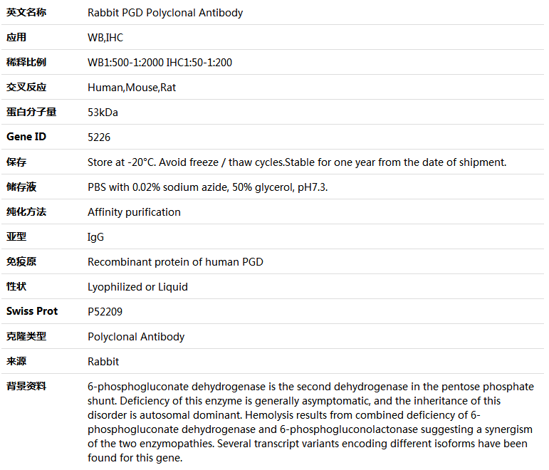 PGD Antibody,索莱宝,K005404P-50ul