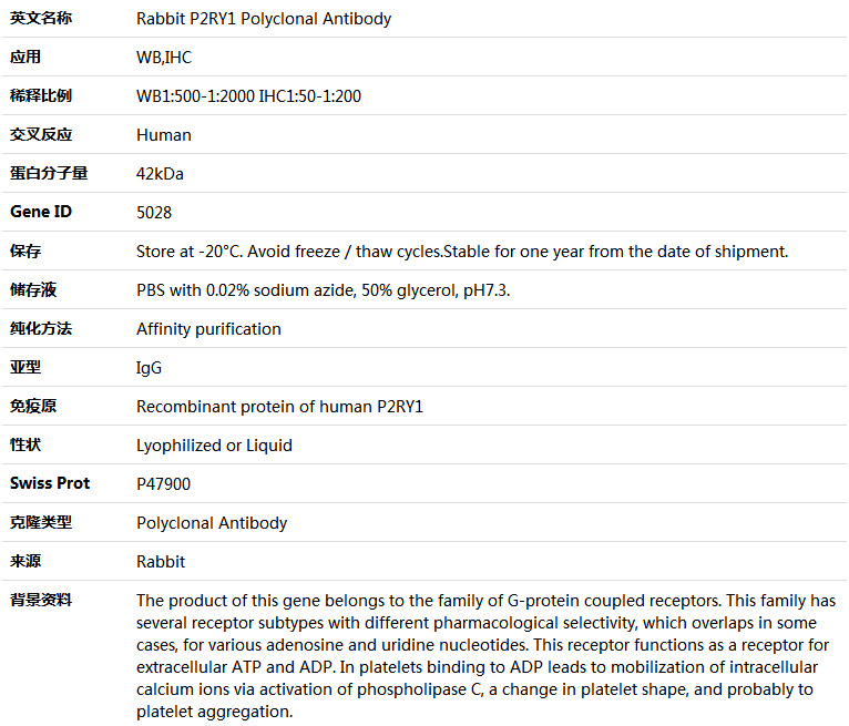 P2RY1 Antibody,索莱宝,K005403P-100ul