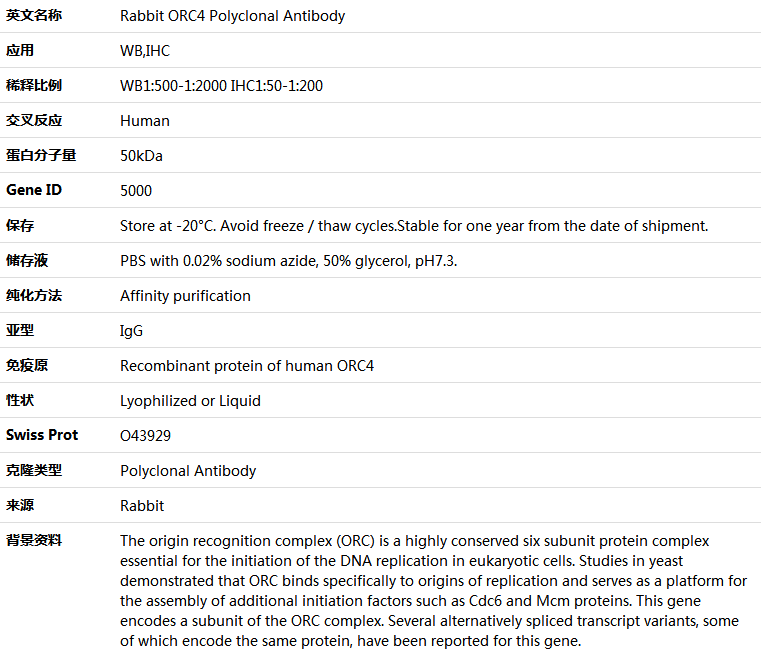 ORC4 Antibody,索莱宝,K005402P-100ul
