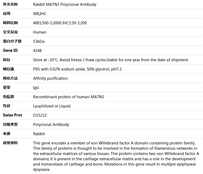 MATN3 Antibody,索莱宝,K005399P-100ul