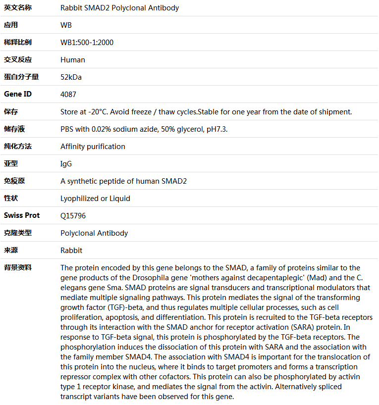 SMAD2 Antibody,索莱宝,K005398P-50ul