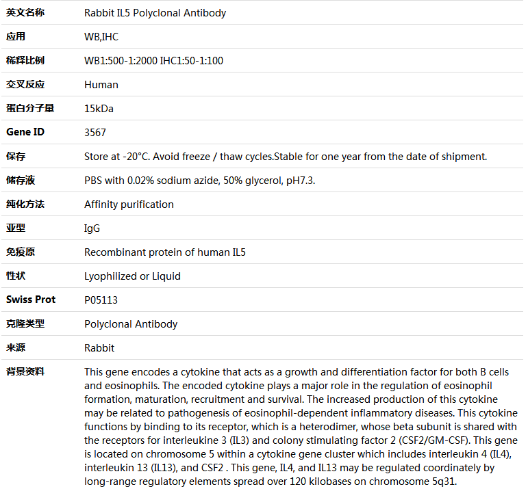 IL5 Antibody,索莱宝,K005391P-30ul