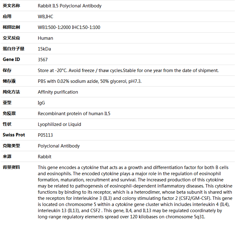 IL5 Antibody,索莱宝,K005391P-100ul