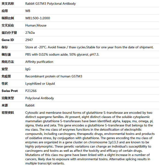 GSTM3 Antibody,索莱宝,K005387P-50ul